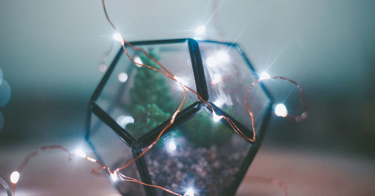 ワンルームの棚に固定したクリップ式LED植物育成ライト