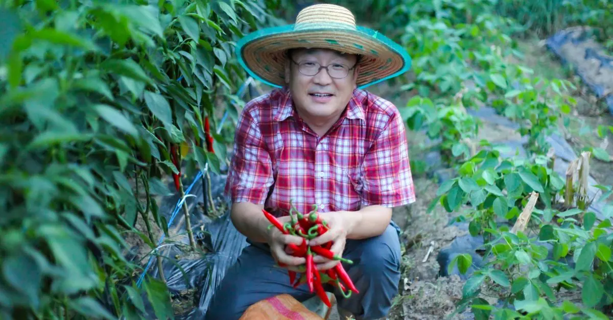 九州・暖地の9月に秋冬野菜の種をまく家庭菜園
