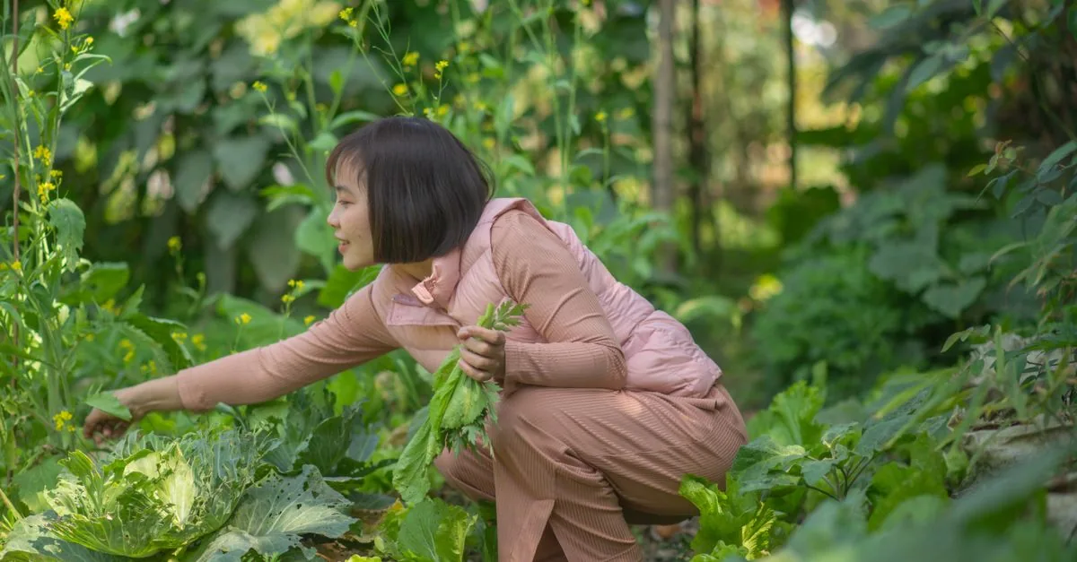 一人暮らしの冷蔵庫前で二つの野菜宅配箱を比較する様子