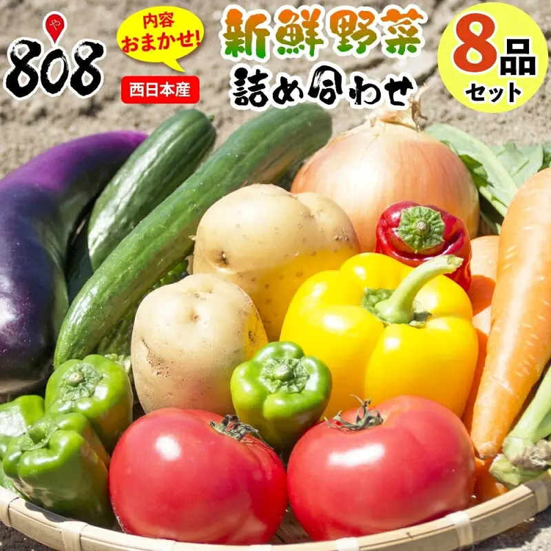 808seika 10000003