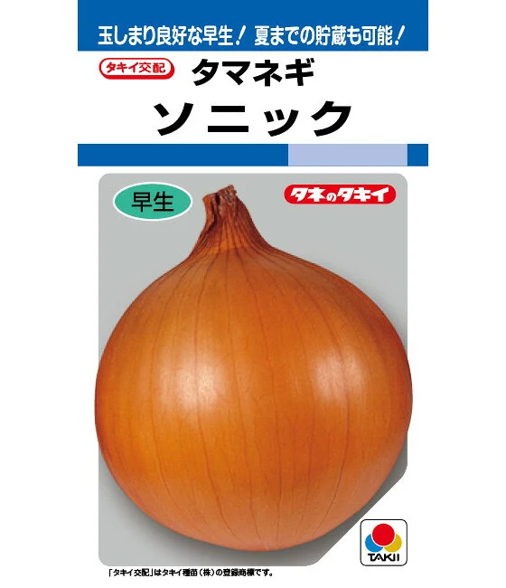 玉ねぎ 種 タマネギ ソニック 20ml タキイ 種苗 家庭菜園 プロ向け 大袋 小袋 農家 セレクト たね タネ