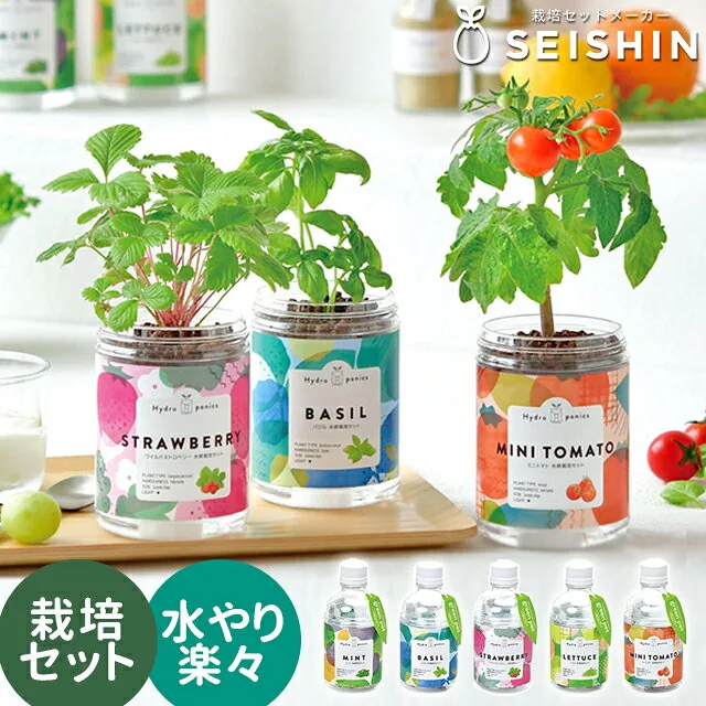 栽培キット 栽培セット 聖新陶芸 グリーンペット GD-1002 〈宅配便〉