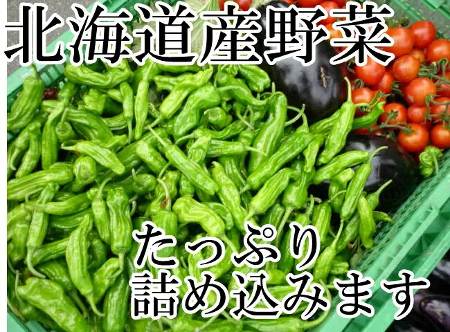 ！冷蔵便込！北海道産四季のとれたて野菜詰め合わせセットお試し8種類入り