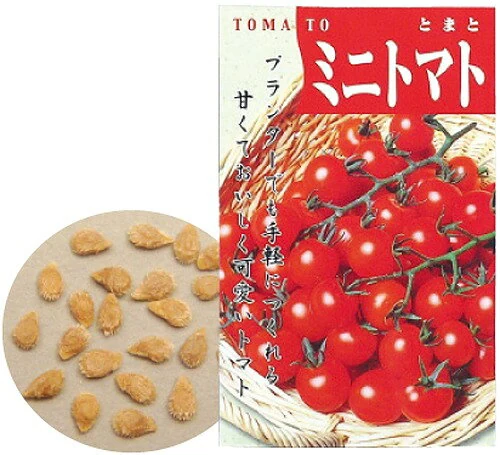 アーテック ArTec 野菜の種 ミニトマト 野菜 工作キット 理科 生物 栽培 学校教材 子供 ガーデニング 農業体験