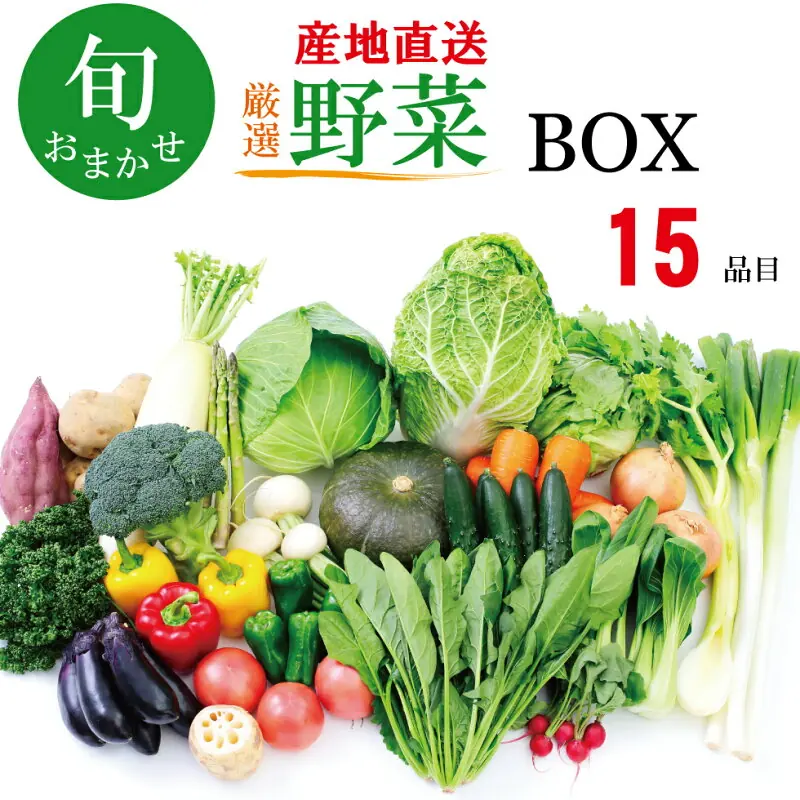 九州産 旬の野菜BOX 15品
