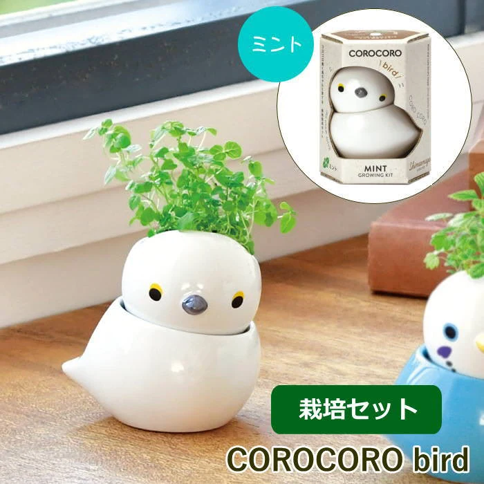 水耕栽培 水耕栽培キット 栽培セット 観葉植物 ポット 容器 キット おしゃれ ミント ハーブ コロコロバード CORO