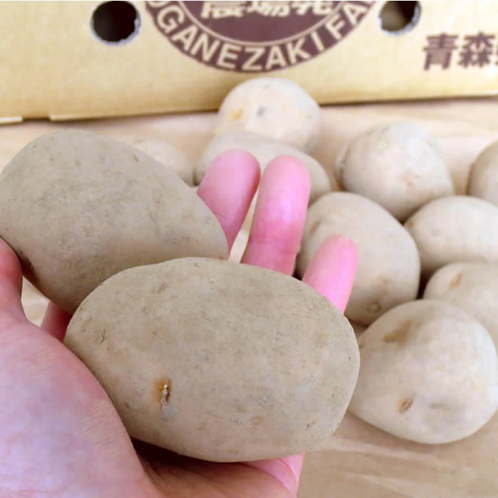 インカのめざめ 春作種芋 1kg