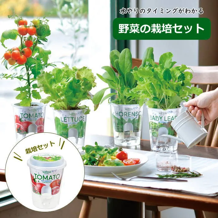 栽培セット Fresh Feel フレッシュフィール GD-819 聖新陶芸 栽培キット 室内 野菜 栽培 家庭菜園 園
