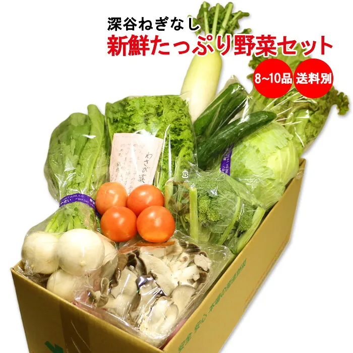 新鮮たっぷり野菜セット 8～10品目