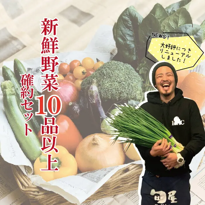 新鮮野菜10品以上確約セット