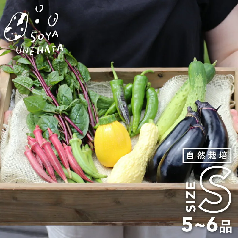 産地直送 野菜 詰め合わせ 自然栽培 野菜BOX Sサイズ 5〜6品 夏野菜 自家採種 固定種 在来種 飛騨 旬の野菜セ