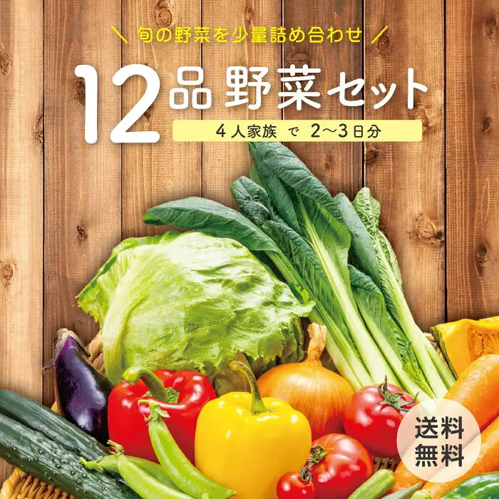 野菜セット 12品 中身が見えて選びやすい！使い切りやすい 旬 野菜詰合わせ 産地直送 新鮮 野菜宅配 上越フルーツ