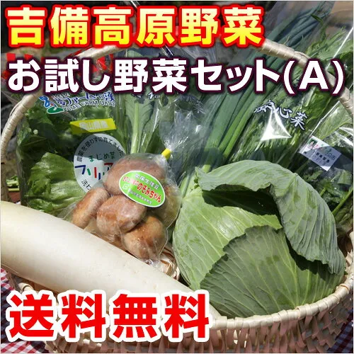 お試し野菜セット 8品セット