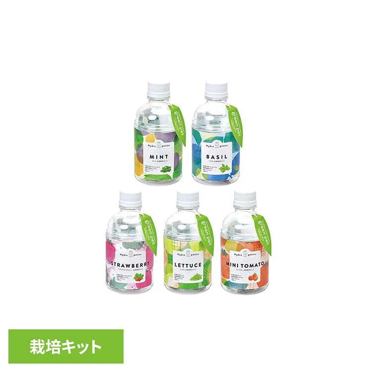 水耕栽培 キット 栽培キット 室内 ミント バジル ワイルドストロベリー レタス ミニトマト 栽培セット 家庭菜園 初心