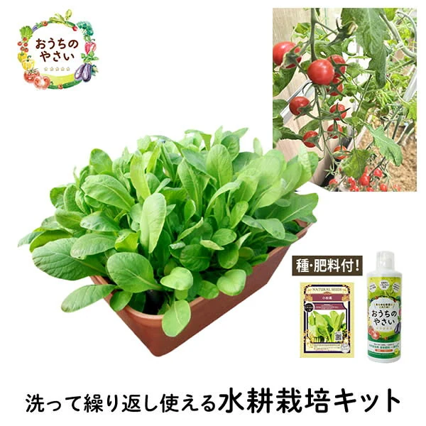 水耕栽培キット 家庭菜園 プランター栽培セット おうちのやさい 菜園キット 水耕栽培キット 有機種子 種 肥料 液肥 付