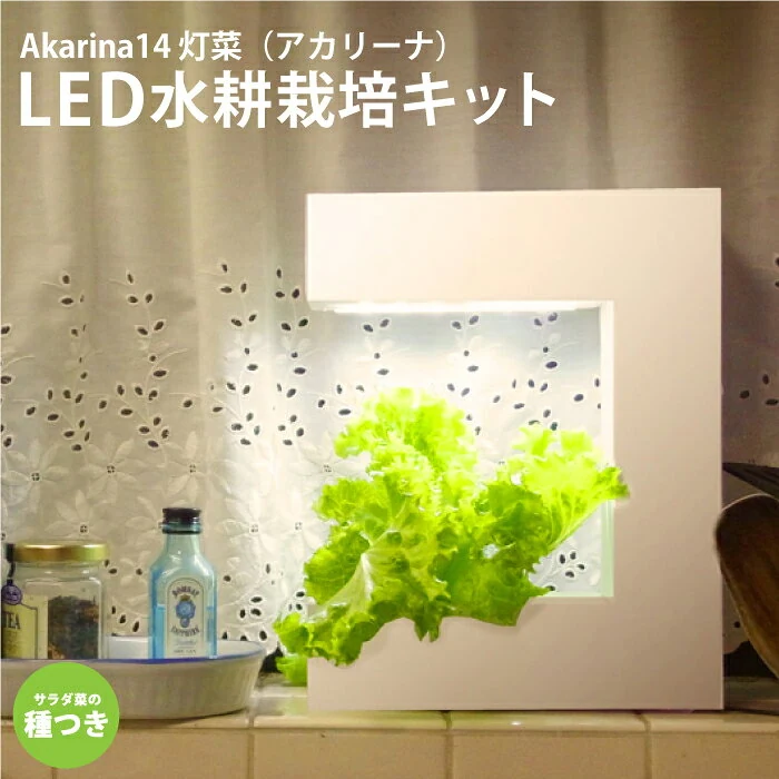 MotoM Akarina14