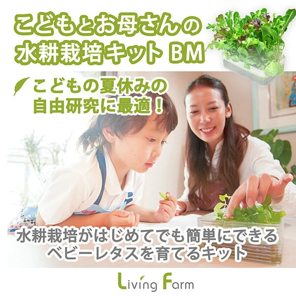 リビングファーム LFS-370 こどもとお母さんお父さんの水耕栽培キット BM ベビーレタス・ミックス