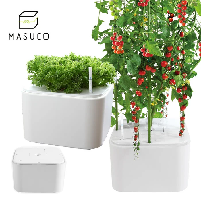 水耕栽培キット 水耕栽培 キット 栽培セット ハイポニカ MASUCO マスコ 水耕栽培装置 水耕栽培器 野菜 家庭菜園