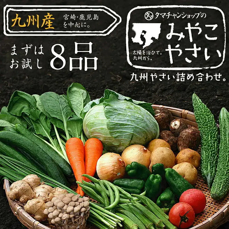 九州野菜ミニミニお試しセット 8品