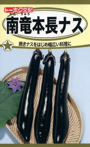 南竜本長ナス/ トーホク 野菜 ハーブ 草花 園芸 栽培 肥料 家庭菜園 球根 苗 種まき 種子 たね タネ 植物 ガー