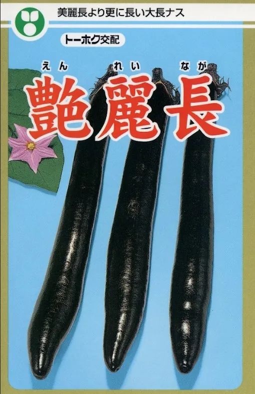 ナス 種 艶麗長 トーホク 野菜 タネ プロ向け 家庭菜園 農家 セレクト たね 畑 茄子種 ナスの種 なすの種 自然栽