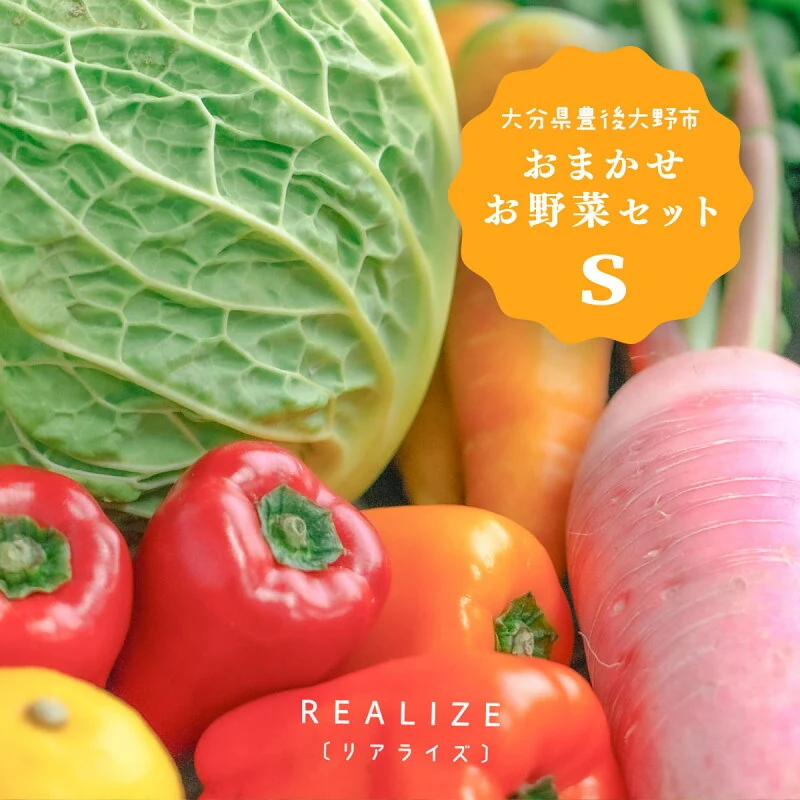 大分県豊後大野 おまかせ野菜セットS