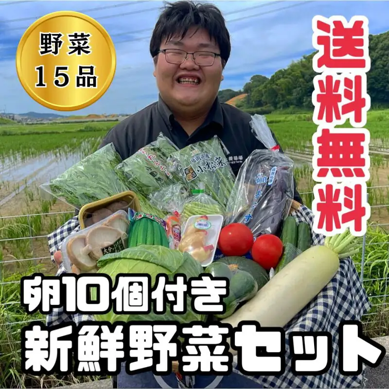 nogamiyoukeijyou 10000079