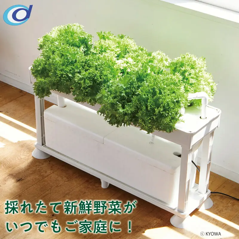 水耕栽培キット ホームハイポニカ PLAABO 協和 プラーボ 水耕栽培 栽培キット ハイポニカ キット 液肥 水栽培