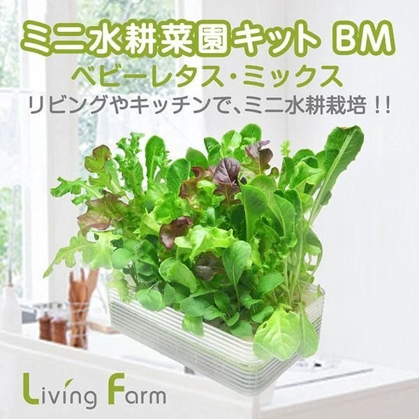 リビングファーム水耕栽培キット ベビーリーフ ミニ水耕菜園キットBM ベビーレタス・ミックス 自由研究 栽培キット 初心