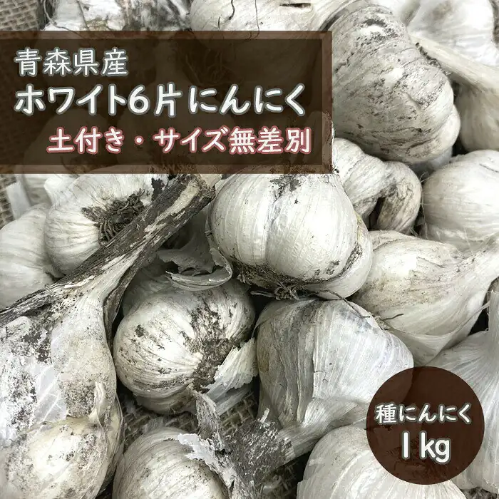 saizu kake