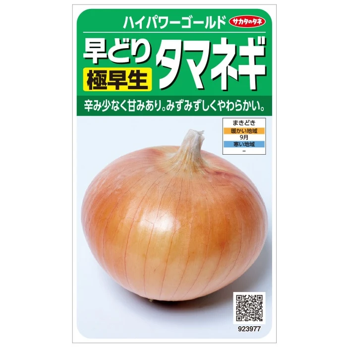 タマネギ ハイパワーゴールド 野菜 種 約330粒 小袋 秋まき 固定種 地植え 家庭菜園 栽培 収穫 園芸 玉葱 たま