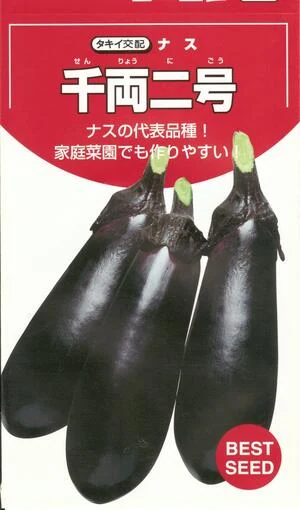 野菜種子 ナス「千両二号」27粒/50粒/200粒/500粒/2,000粒 せんりょうにごう センリョウニゴウ 長卵形茄