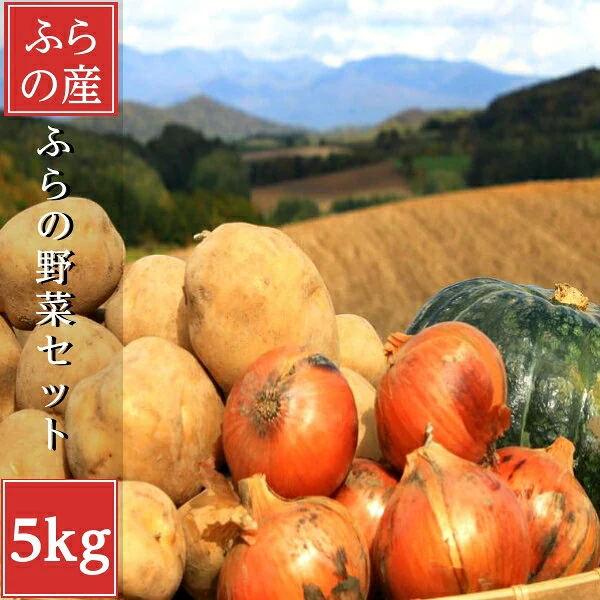 北海道産 低農薬 野菜セット 5kg詰め 詰め合わせ 新鮮 今が旬 野菜 鍋 ギフト プレゼント 国産野菜 健康 減農薬