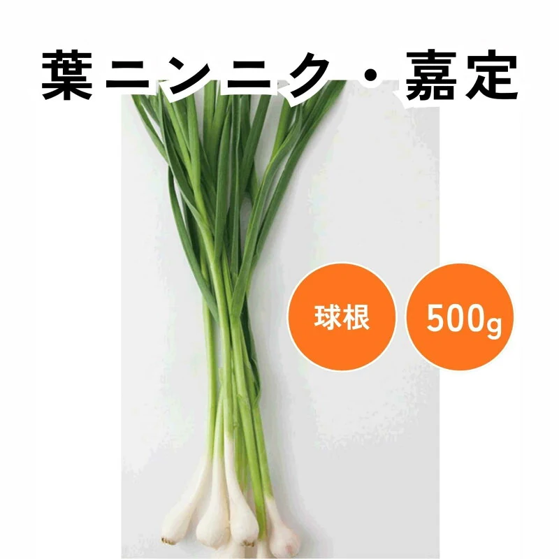 大和農園 嘉定 葉にんにく球根 500g